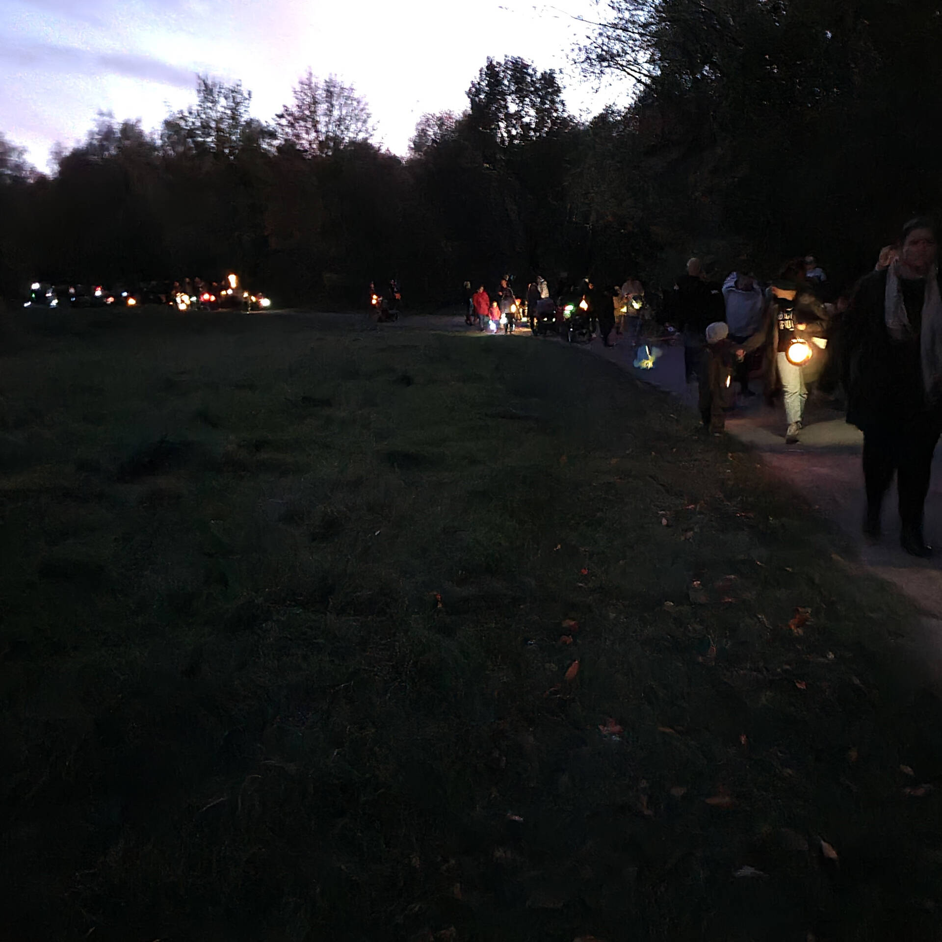 Ein Martinszug, Kinder tragen Laternen.