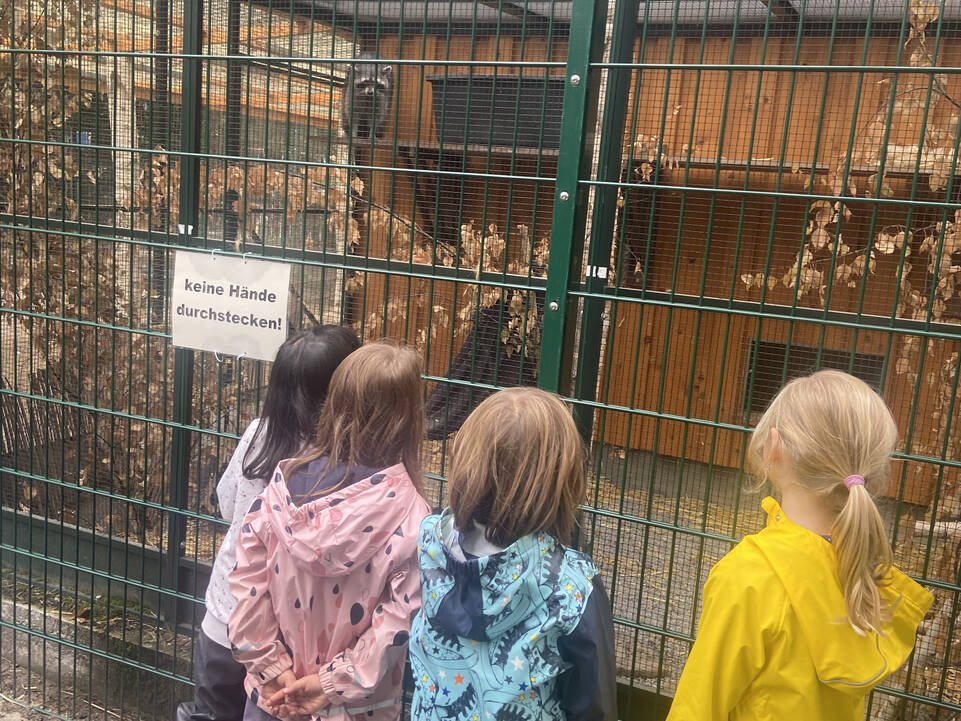 Vier Kinder stehen vor einer Gehege