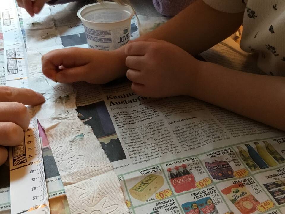 Kinderhände die Samen auf ausgerolltes Toilettenpapier legen.