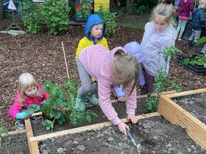 Kinder pflanzen die Kräuterspirale