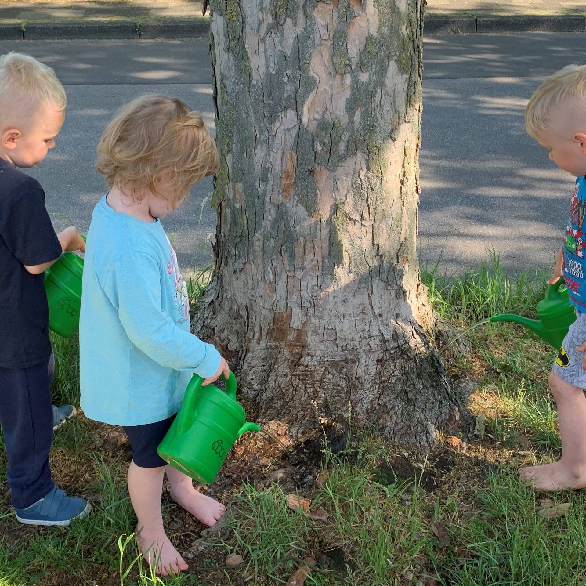 Drei Kinder stehen an einem Baum, eines gießt den Baum