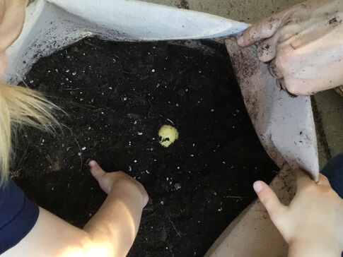 Eine Kinderhand greift in eine Tüte mit Erde.