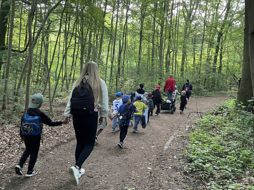 Kinder mit Erzieherinnen gehen durch den Wald.