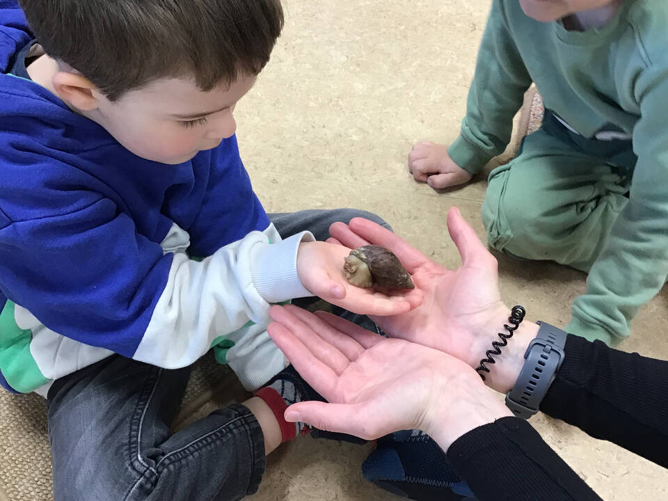 EIn Junge hält eine Schnecke in der Hand.