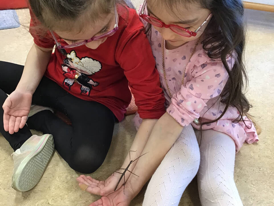 Zwei Kinder mit einer Stabheuschrecke.