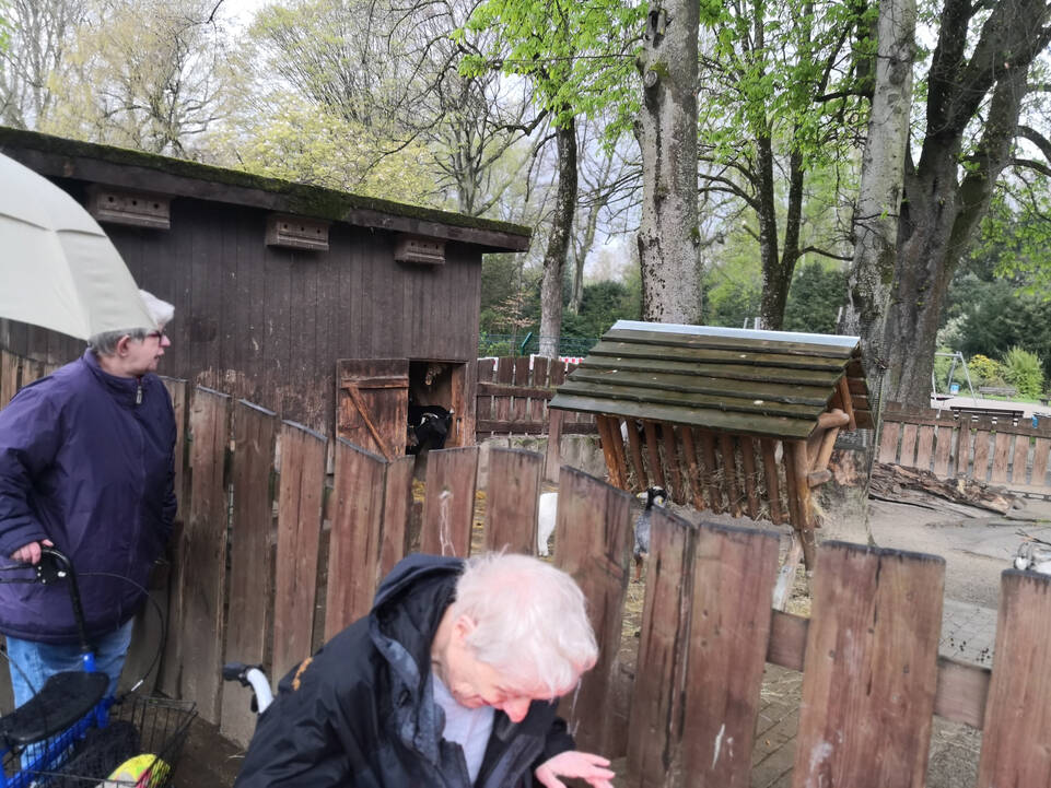 Personen vor einem Gehege