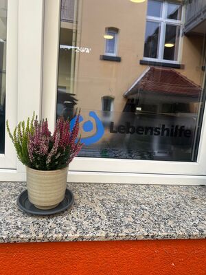 Eine Herbstpflanze auf der Fensterbank.
