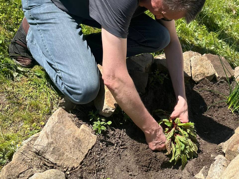 Eine Person bepflanz die Spirale.